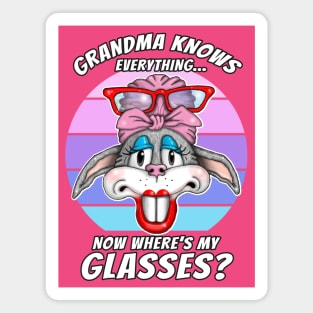 Grandma Knows Everything Funny Grandma Knows Best Mothers Day Magnet